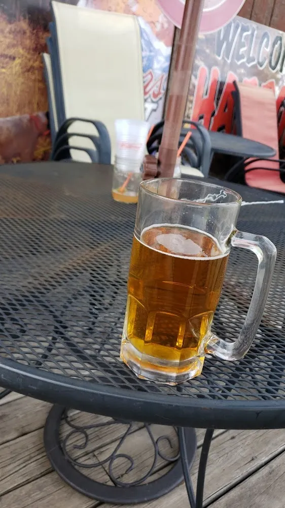 Massive Mug of Goose Island IPA